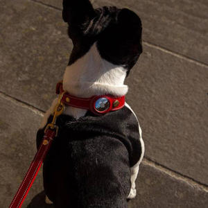 Collar de cuero para mascotas con ranura para rastreador, rastreador antideslizante para perros, cubierta de cuero, collar de posicionamiento para perros - Product Image 6