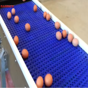 Bande transporteuse modulaire en maille PP POM de largeur standard 7300-185, bande en plastique pour œufs et légumes, grille de flux pour les lignes de transformation alimentaire - Product Image 4