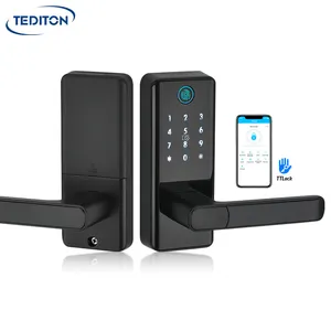 Tediton-Cerradura Digital para puerta Delantera, dispositivo de cierre con tarjeta Rfid, impermeable, con Google Home, proveedor de China