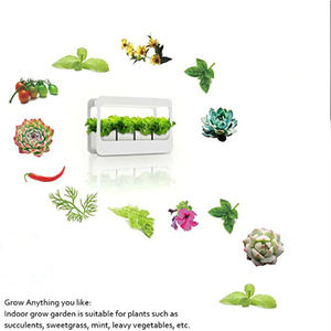 Hydroponique Légumes Fleur Décoration De Bureau Planteur Boîte Élèvent Des Lumières Maison Mini <span class=keywords><strong>Culture</strong></span> Sans Sol Cultiver Des Lampes - Product Image 4