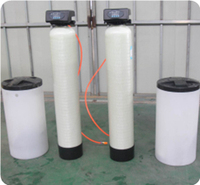 Filtres à eau pour l'élimination du fer, éliminateur de fer et de manganèse, filtre à eau potable, traitement automatique de l'eau jaune des puits forés