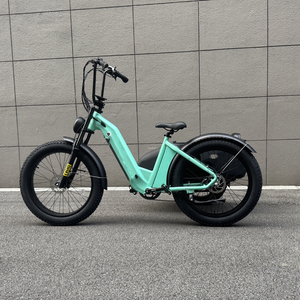 E bike Side Car Adulto triciclo eléctrico bicicleta 3 ruedas ebike Triciclo de carga eléctrico 750W batería de litio oculta etrike sidecar - Product Image 2