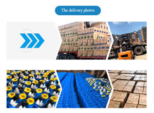 Pulverizador de pesticidas agrícolas, equipamento de pulverização, mochila química, pulverizador a gás, 2 tempos, 41.5cc, 2 tempos, espanador de névoa - Product Image 5