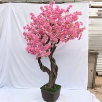 Tik Tok YouTube Instagram son özel Bonsai saksı bitki pembe beyaz yapay kiraz çiçeği ağacı ev kapalı dekor için