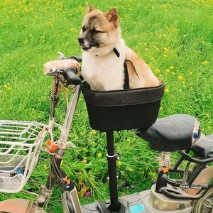 Cesta de Bicicleta para Animais de Estimação, Cesto Dianteiro de Ferro para Cães e Gatos, para Bicicletas de Montanha, Viagens e Compras, com Liberação Rápida, Forro de Esponja Durável e Alça de Segurança - Product Image 6
