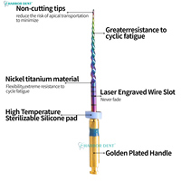 Limas Rotatorias NiTi Rainbow Eléctricas Activadas por Calor para Conductos Radiculares Curvos - Herramientas Dentales de Alta Flexibilidad