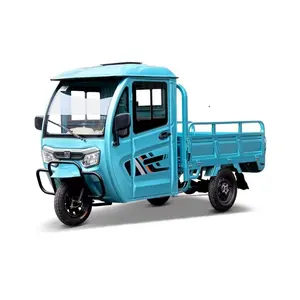 Europe and America Popular High Quality 1000w Three Wheels Triciclo Electric Cargo Tricycle Electric Cargo Tricycle For Adult