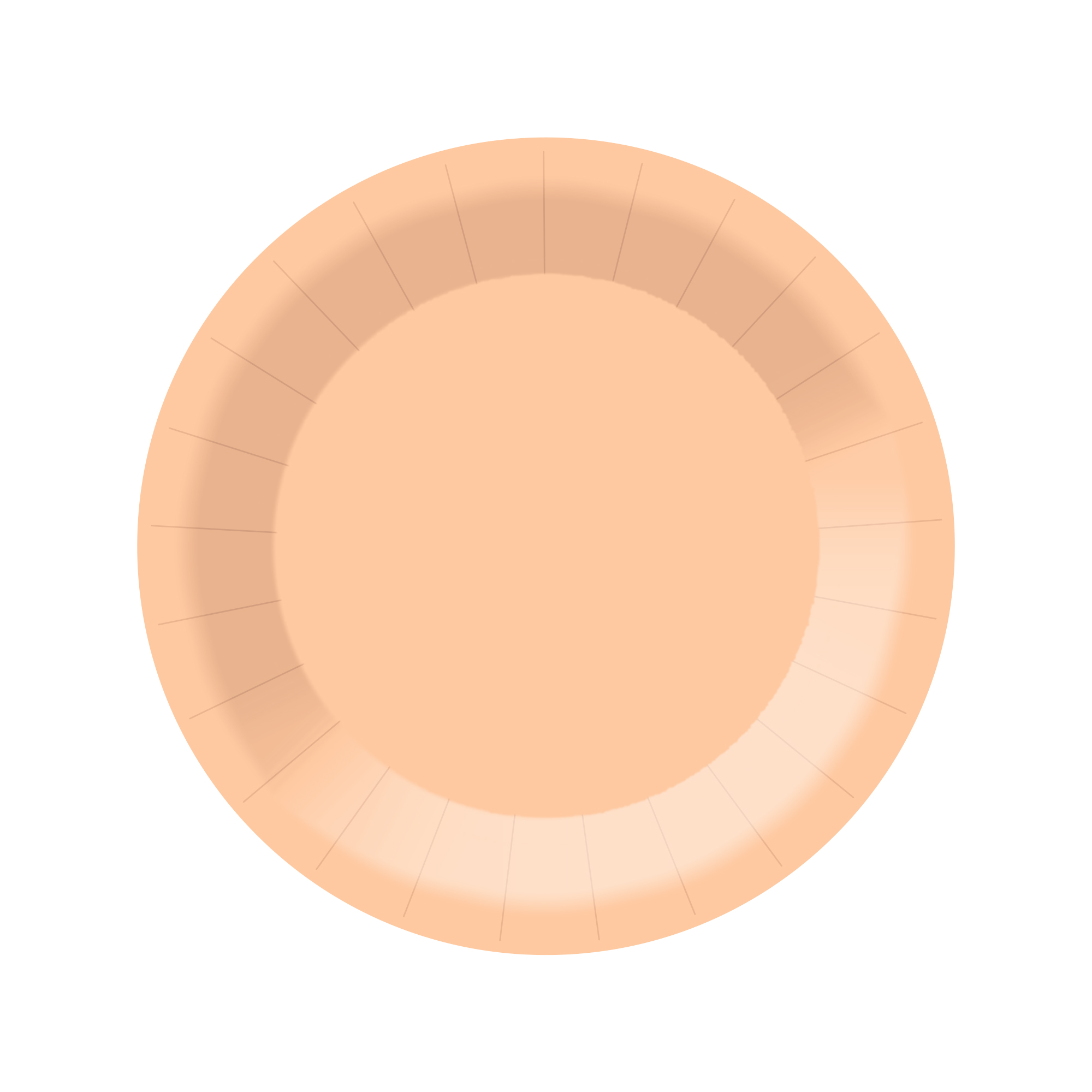 Assiette en carton de 23 cm * 8 pièces