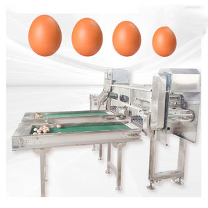 آلة فرز وتصنيف البيض حسب الوزن، آلة تعبئة البيض - Product Image 3