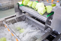 800kg/uur Fruit- en groentewasmachine, wassysteem voor wortelen, passievruchten, avocado's, citroenen, appels.