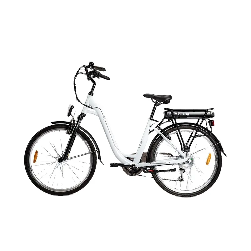 Bici elettrica da carico batteria al litio bici elettrica 250W 36V bicicletta elettrica con EN1519