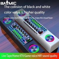 Équipement Pro studio maison famille KTV studio moniteur karaoké haut-parleur carte son avec Double Microphone sans fil ktv live