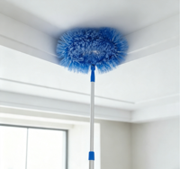 Brosse de nettoyage robuste pour toiles d'araignées au sol, avec manche extensible en PP, dépoussiéreur écologique pour coins et recoins