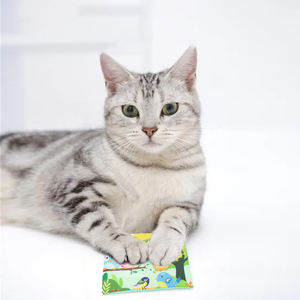 All'ingrosso Pet Catnip peluche giocattoli per gatti di peluche resistente giocattolo cigolante che allevia la noia giocattoli per animali domestici per prendere in giro i gatti - Product Image 4