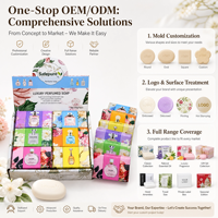Lot de Savons Parfumés de Luxe en Gros, Personnalisables avec Logo OEM, Fournisseur d'Articles de Toilette pour Hôtels 5 Étoiles