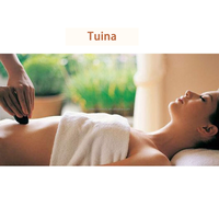Kit de 22 pièces pour massage aux pierres chaudes énergétiques, avec chauffe-pierres, pour SPA volcanique à domicile et en salon, soulagement de la douleur, appareil de compresse chaude corporelle