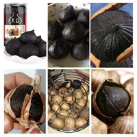 Machine intelligente automatique de fermentation d'ail noir Régulation de l'humidité AI Équipement de fermentation d'ail noir Composants de noyau PLC