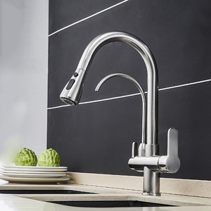 <span class=keywords><strong>Rubinetto</strong></span> da <span class=keywords><strong>Cucina</strong></span> Gourmet <span class=keywords><strong>con</strong></span> Doccetta Estraibile Cromata, Filtro, Acqua Calda e Fredda, Montaggio su Piano - Product Image 2