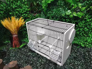 Vente en gros de cages à oiseaux KWS <span class=keywords><strong>Cage</strong></span> en fer de haute qualité pour perroquets et canaris <span class=keywords><strong>Cage</strong></span> pour oiseaux - Product Image 5