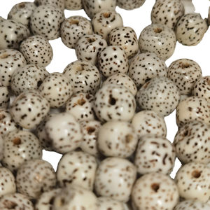 <span class=keywords><strong>Collier</strong></span> Lotus Graine de Bodhi Blanc <span class=keywords><strong>Collier</strong></span> de Prière Bouddhiste Naturelle Mara Bracelet de Perles - Product Image 1