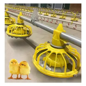 Poulailler Système de ligne d'alimentation automatique pour poulets de chair mangeoires pour animaux