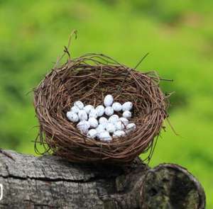 Artificial <strong>Bird's</strong> <strong>Nest</strong> Rattan Birdhouse <strong>Bird</strong> Eggs Miniature Easter Decorations Mini Garden Accessory Home Decor - Product Image 5