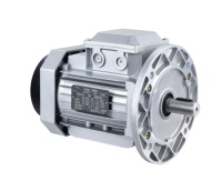 Chine 0.75kw 1hp 1390r/min série YS boîtier en aluminium moteur à induction moteur asynchrone triphasé