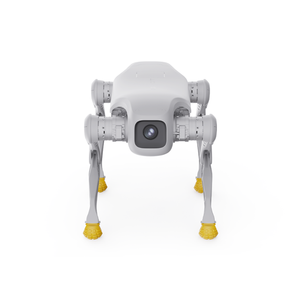 Robot Cuadrúpedo AgiBot D1Pro/EDU, Perro Robot para Múltiples Terrenos, Todoterreno, Motor de Alto Rendimiento, Desarrollo Secundario, Patrulla Expandida, Humanoide - Product Image 4