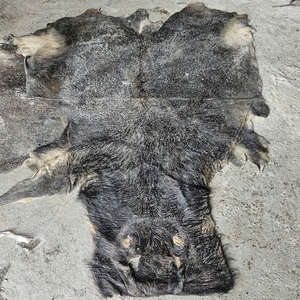 Peaux de buffle et de vache salées à froid, grandes tailles, peaux brutes entières pour le traitement industriel du cuir - Product Image 1