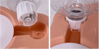 Bouteille d'eau fontaine à boire pour chien, gourde Portable, personnalisée, pour les voyages, pour promener les chiens