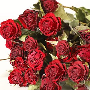 Rosas secas naturales, el más popular, regalo del Día de San Valentín, 2022 - Product Image 2
