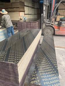 1220x2440mm 18mm <span class=keywords><strong>Film</strong></span> noir face contreplaqué Construction marine coffrage panneau phénolique eucalyptus/peuplier/pin noyau contreplaqué - Product Image 3