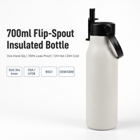 Bouteille d'eau isotherme 700 ml avec bec verseur rabattable, ouverture à une main, anti-fuite, double paroi sous vide en acier inoxydable, avec poignée de transport 12-24