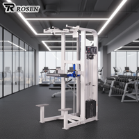Máquina de Dominadas con Resistencia de Peso ROSEN Fitness, Equipo de Gimnasio para Ejercicios de Brazos, Máquina de Dip Asistida para Fisicoculturismo