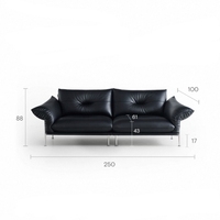 Canapé design Mid-antique Flo Petal Canapé rétro droit noir Art Salon en acier inoxydable de grande hauteur Canapé d'appartement