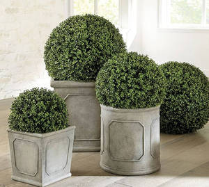 Offre Spéciale Pas Cher Préservé Artificielle En Plastique Boule D'herbe De Buis Suspendus Topiaire Herbe Cyprès Boule De Fleur De Lavande - Product Image 1
