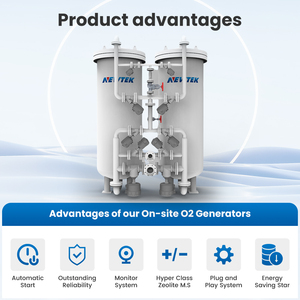 Newtek Goedkope Prijs 99% 25nm 3/H Gecertificeerd Psa Zuurstof <span class=keywords><strong>Generator</strong></span> Fabriek Voor Ijzer En Staal Metallurgie Industrie - Product Image 2