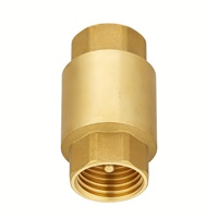 Válvula de Retención Gaobei de Cobre Unidireccional con Resorte para Control de Agua, Materiales de Fontanería de Alta Calidad, Latón Forjado Duradero de 1/2" a 2" con EPDM