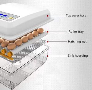 Lồng ấp 36 trứng tự động trứng lồng ấp trứng nở máy để bán với điện kép - Product Image 4