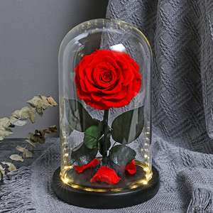 <span class=keywords><strong>Rose</strong></span> Éternelle Unique de Haute Qualité Longue Durée sous Dôme en Verre, Fleurs Immortelles - Product Image 5