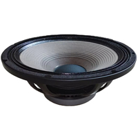 Haut-parleur professionnel de 15 pouces à haute puissance avec 400 W RMS et double bobine vocale de 3 pouces