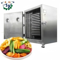Fruit/Aardbei/Mango Vriesdroger Lyofilisatiemachine/Vriesdroogapparatuur