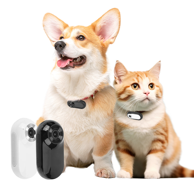OEM 1080P Color Screen Mini Action Camera Waterproof Pet Collar WIFI Wireless Video Recorder Fashionable Cat Collar Camera