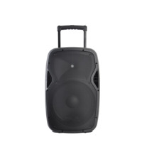 Enceinte active portable rechargeable Accuracy Pro Audio CSL15BZ-V1BP-BT 15 pouces 50W avec radio FM