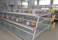 Nouvelle cage à poulets de chair Ankong de type H à 3-4 niveaux en treillis métallique galvanisé à chaud avec un design facile à utiliser