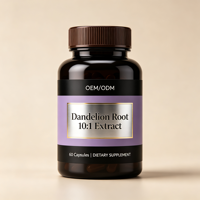 Capsules de racine de pissenlit en gros sous marque privée – Supplément nutritionnel à base de plantes traditionnelles de haute qualité – OEM ODM