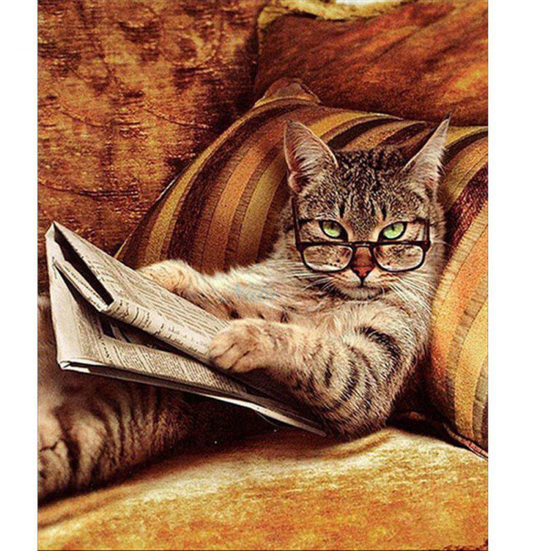 42 chats lisant avec des lunettes