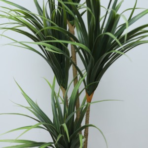 Offre Spéciale Simulation Dracaena Plante Vivid Ignifuge Dracaena Fragrans Arbre Liquidation Jardin Aménagement Paysager <span class=keywords><strong>plantes</strong></span> artificielles Bonsaï - Product Image 4