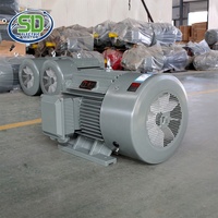 YE3 250M IP55 2 pôles Cage d'écureuil AC Induction moteurs verticaux prix 3 phases 55 kw électrique 3000 tr/min moteur Eléctrico 75 hp