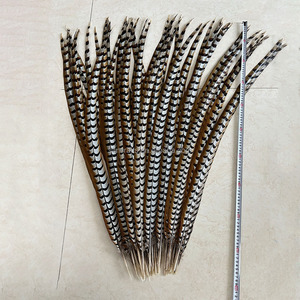 Plumes de queue de faisan Reeves Venery de 100-110 cm, plumes décoratives pour costume de carnaval, décoration de scène de mariage, fête - Product Image 3